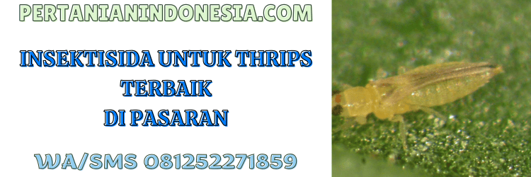 insektisida,untuk,thrips,hama,pertanian indonesia